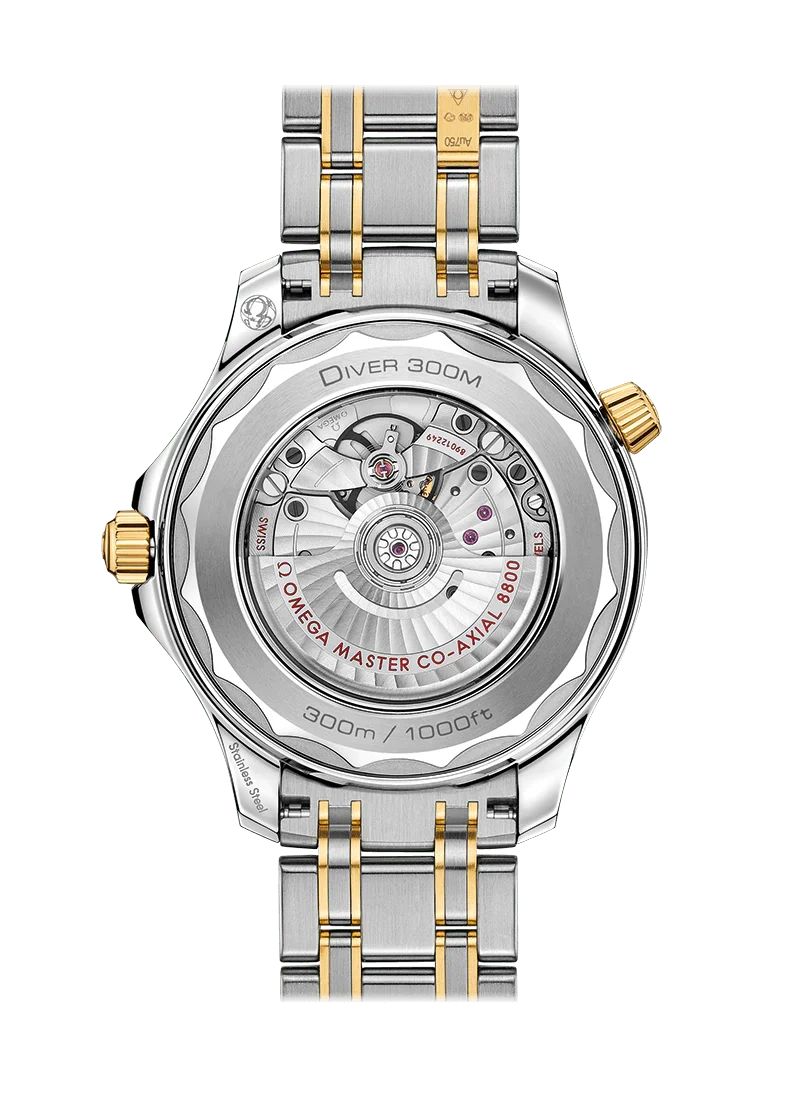 Blue Gold Steel - 904L Steel - Automatic - 42mm