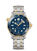 Blue Gold Steel - 904L Steel - Automatic - 42mm