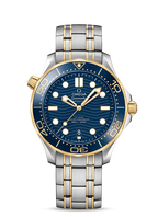 Blue Gold Steel - 904L Steel - Automatic - 42mm
