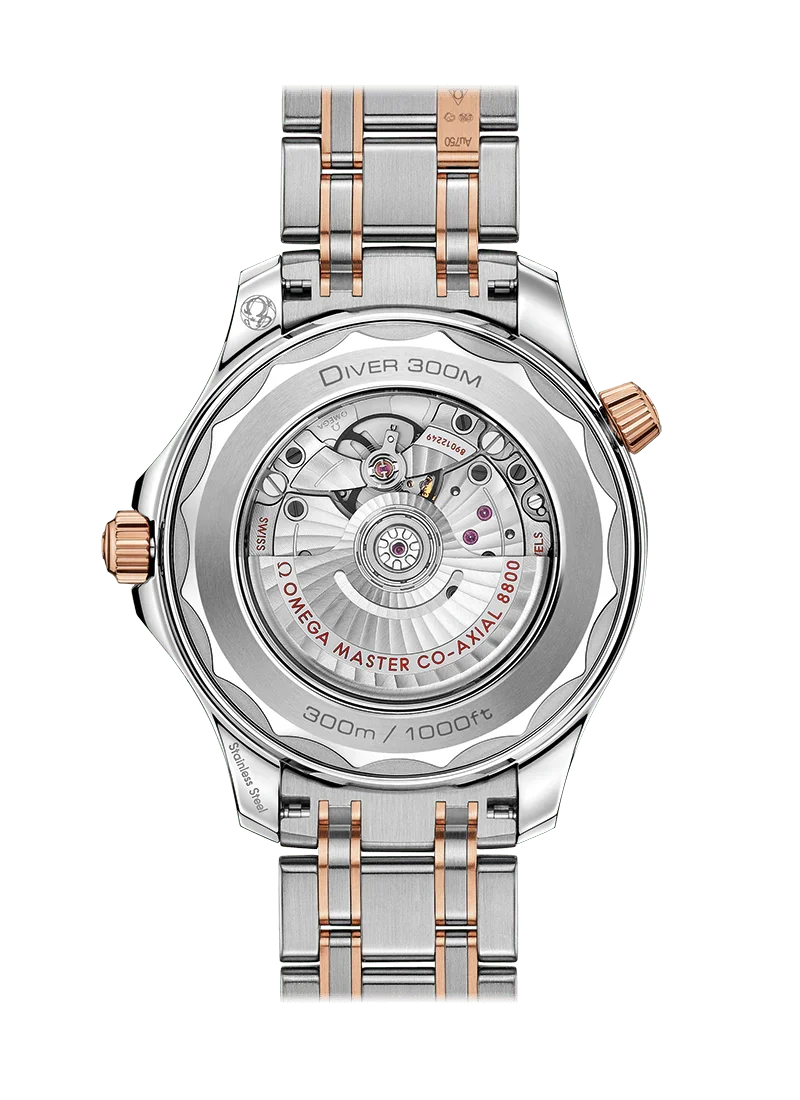 Black Dial - Withe Yellow 904L Steel - Automatic - 42mm