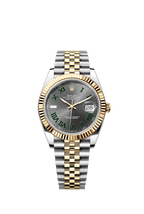 Grey - 904L Steel - White gold - Automatic - 36mm - 41mm