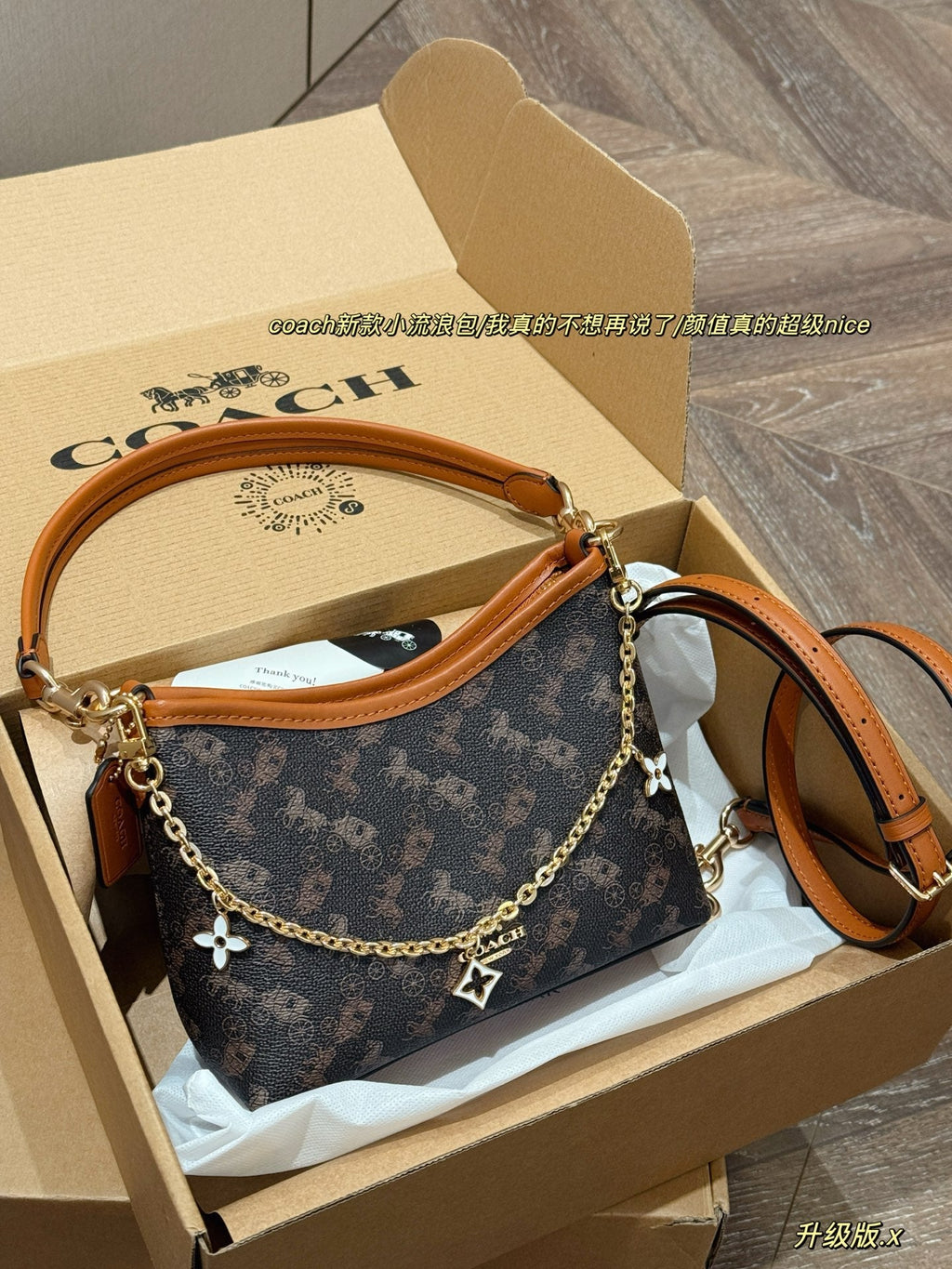Carriage wandering bag