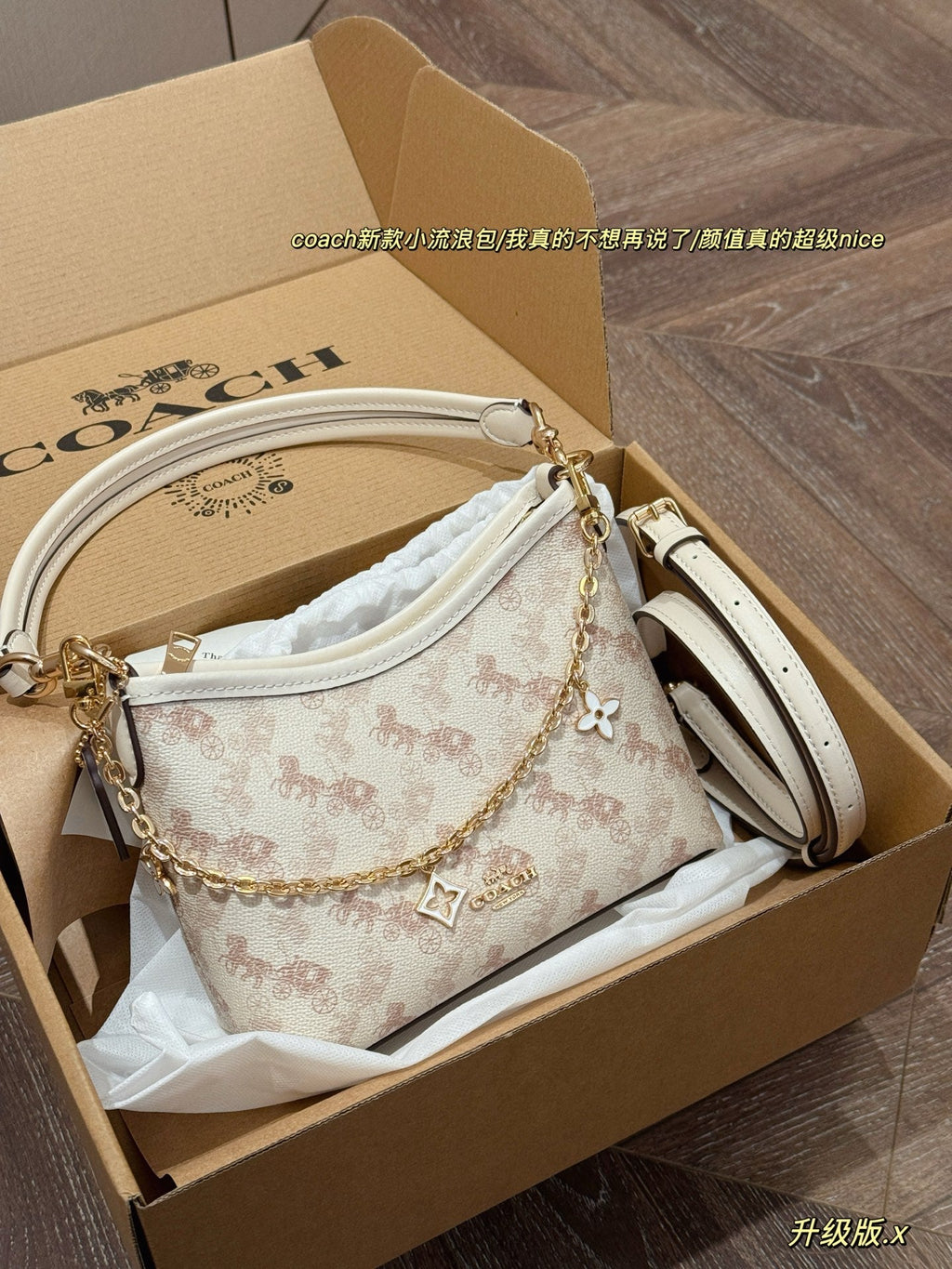 Carriage wandering bag