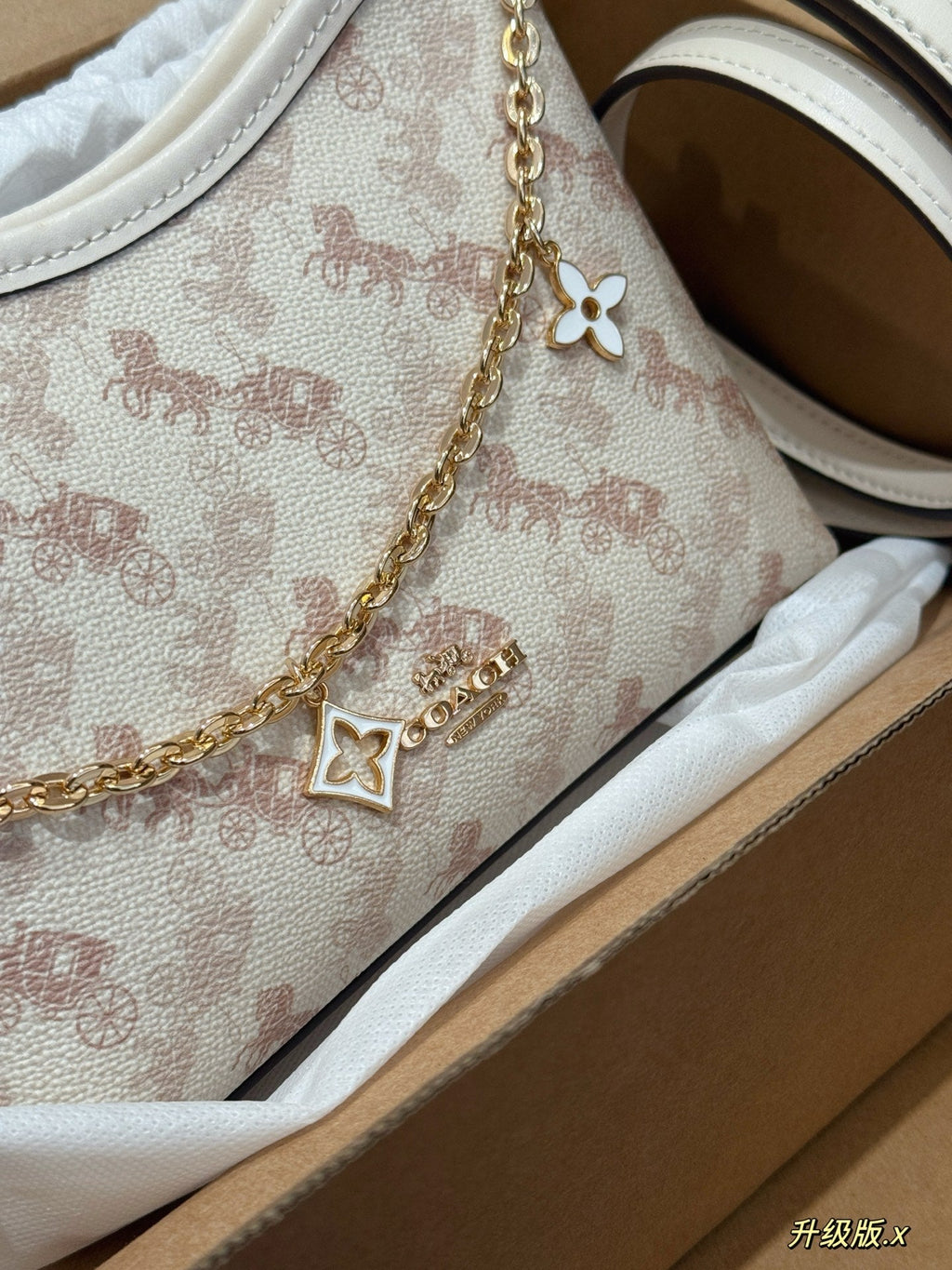 Carriage wandering bag