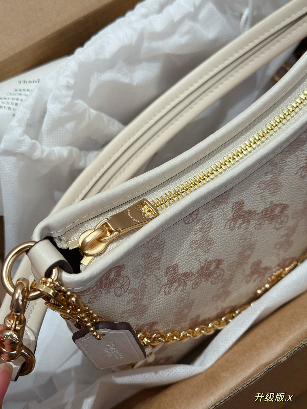 Carriage wandering bag